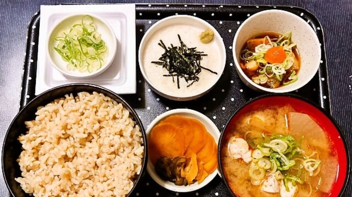 家で朝ごはん(発芽玄米ごはんにホヤポン酢、長芋のとろろ、納豆、河豚汁、漬物(味噌漬))(2023年6月28日)