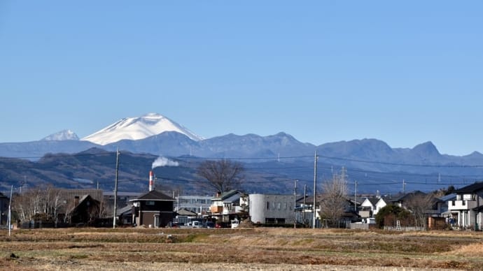 里見のぴんころ地蔵・・・