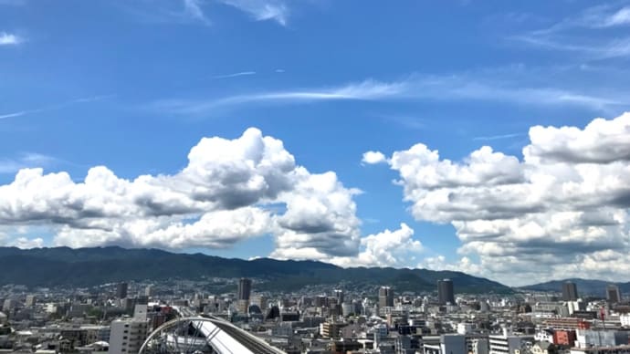 聖武天皇 大仏への道