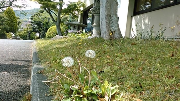 ほっこりな風景
