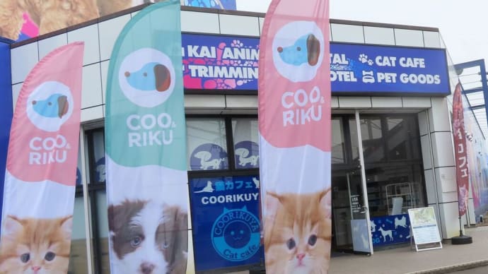 猫カフェ、なんてぇのがありましたよ