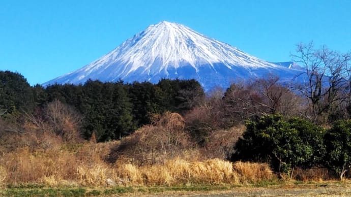 地域とのつながり