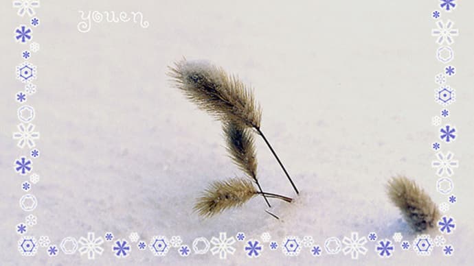 なばなの里イルミネーション 「さくら」