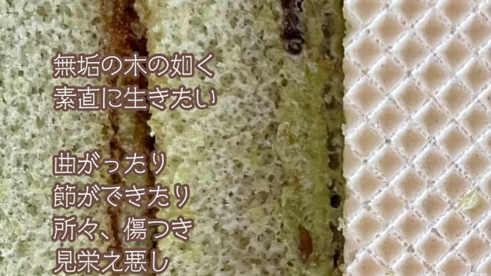 難しいけど / ラグの写真詩
