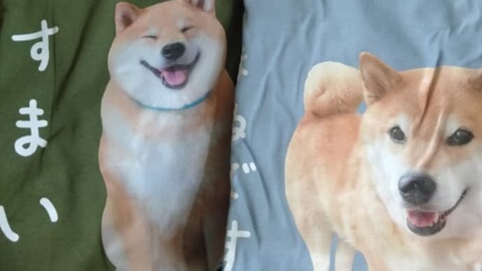 柴犬まるちゃんTシャツと男女7人秋物語