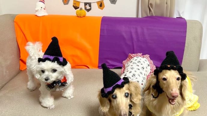 ハロウィン