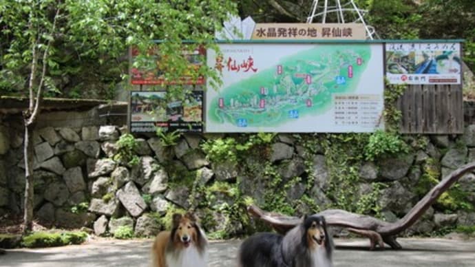 昇仙峡をお散歩🎶