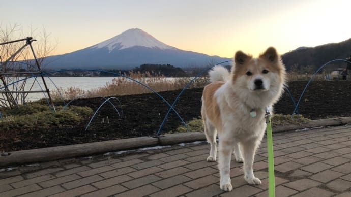 河口湖一日目②大石公園とプライベートホテル麗