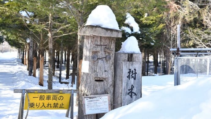 退院後初の森の散歩