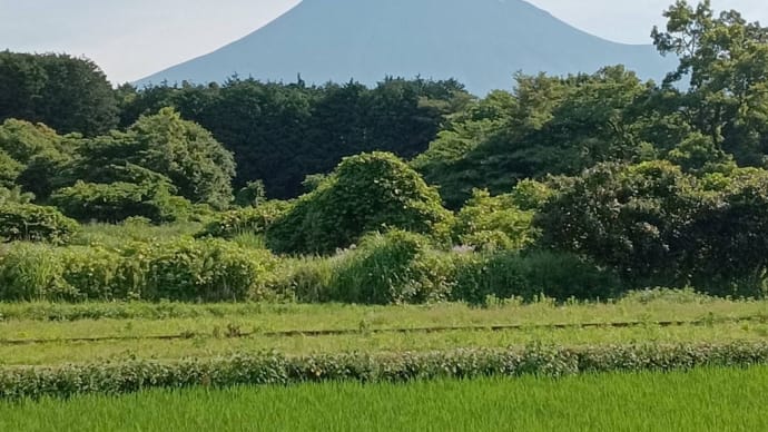 毎月の勉強会を自分のものに