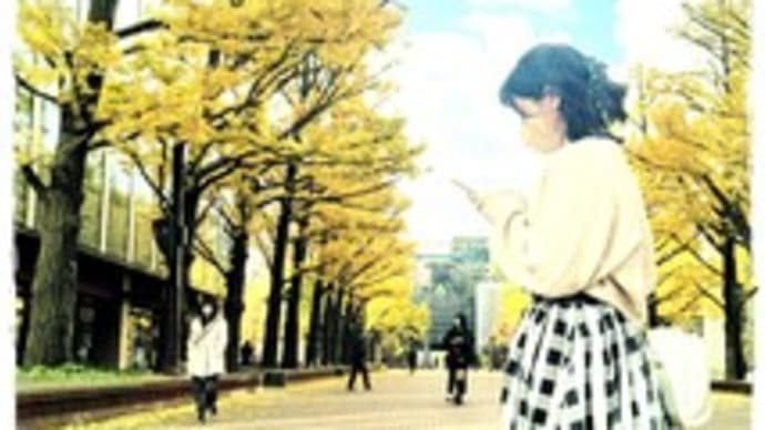 秋の色を撮りに行く。北大イチョウ並木 / 赤プラ
