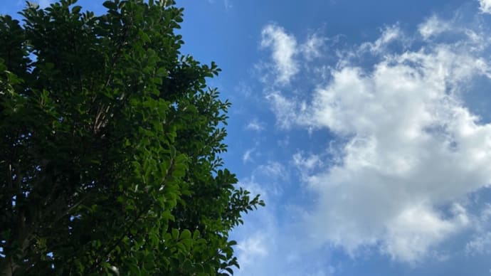 雷と大雨、昼前に止む