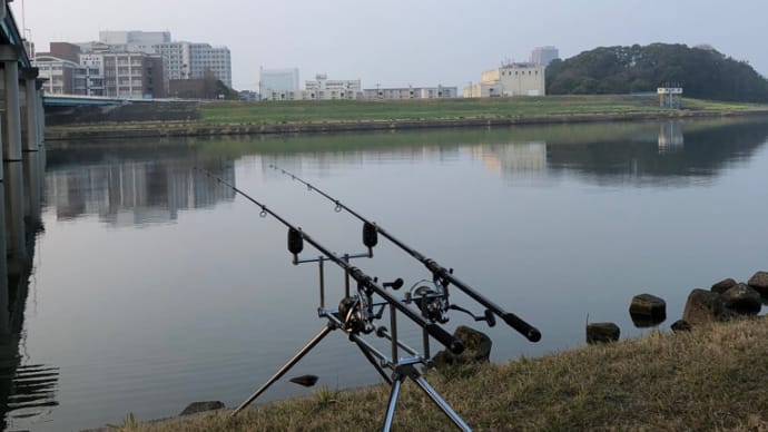 3月14日の鯉釣り