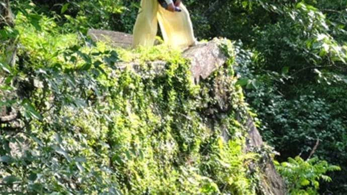 阿波青石 徳島城 本丸