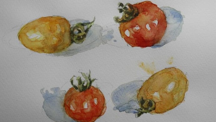 水彩画「トマト」（お遊び）