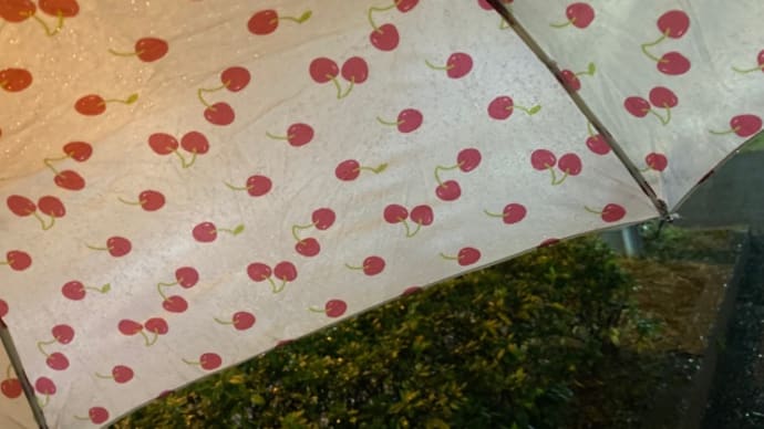 雨