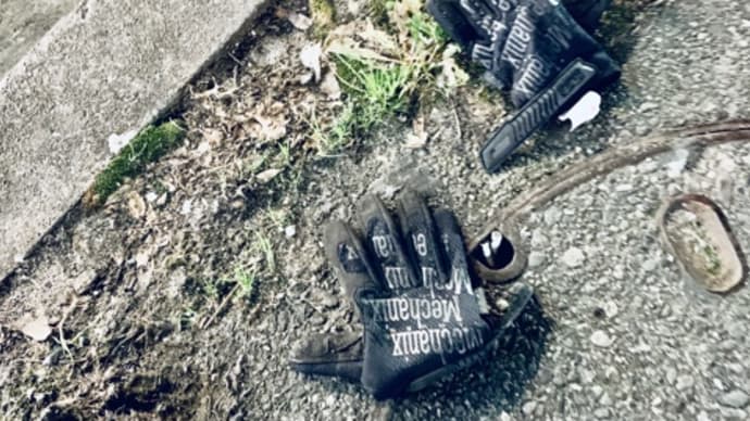 日乗 diary - 落としモノ 手袋238 lost glove
