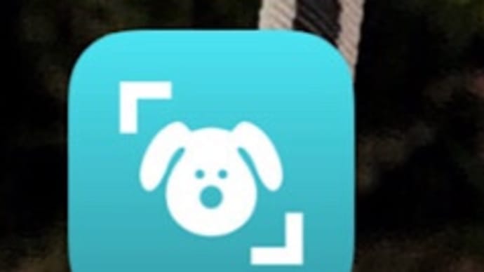 Dog Scannerというアプリ