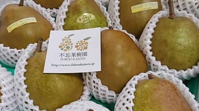 不忘果樹園様より西洋ナシ摘果の御礼品が届きました♡