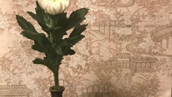 十三夜の飾りつけ