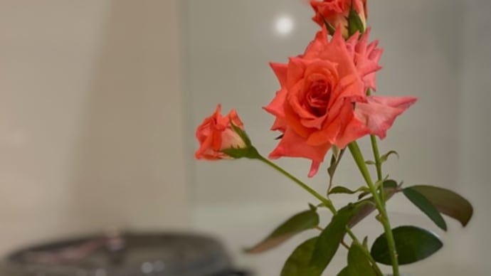 家の中にも花を。。。