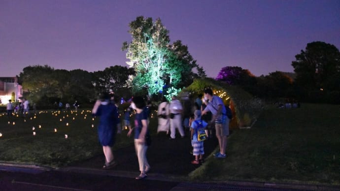 真夏の夜の植物園 神奈川県鎌倉市 日比谷花壇大船フラワーセンター(3)