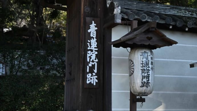 京都 青蓮院門跡