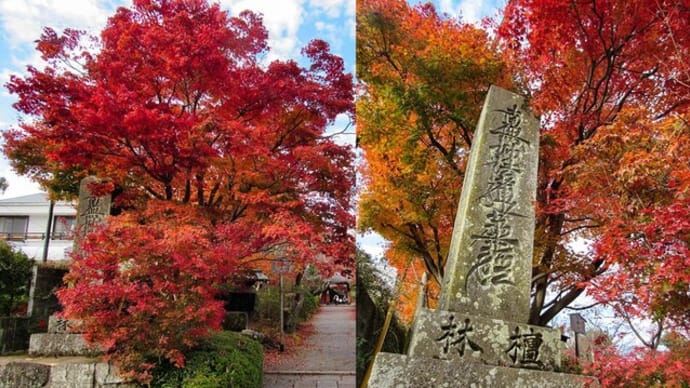 常照寺 亀屋良長 スライスようかん&ゴールトムーン