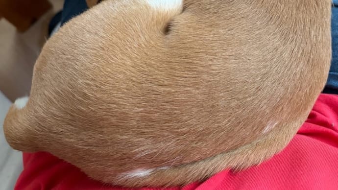 気分転換は難しい