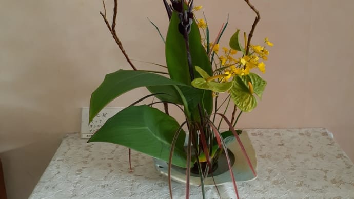 11月生花