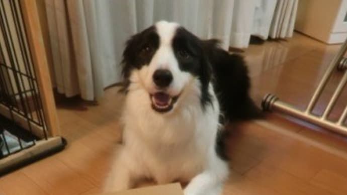 ふるさと納税の返礼品(新潟県南魚沼市) 届きました