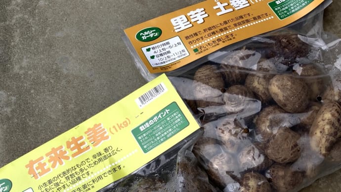 衝動買い