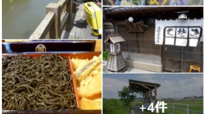 霞ヶ浦から水郷佐原 天明弐年 1782年 創業 有形文化財『黒切り蕎麦』