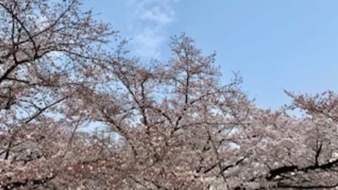 大学生は子どもか否か