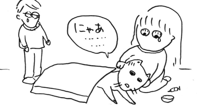 虹の橋へ逝くネコ コロンの気遣い3