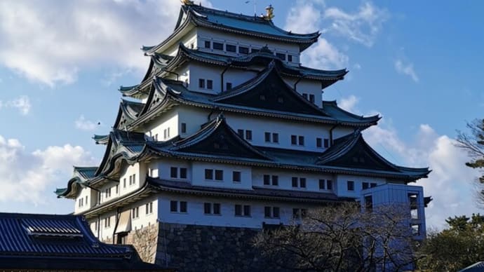 『名古屋城へ何十年ぶりかで行ってみた･･･』