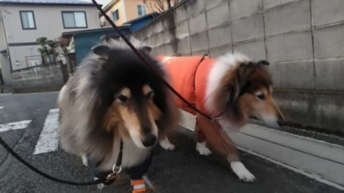 雨が降らない!