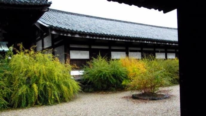 2023年11月18日(土)の「奈良市」と京都市「東寺・梅小路公園・東本願寺」(4)