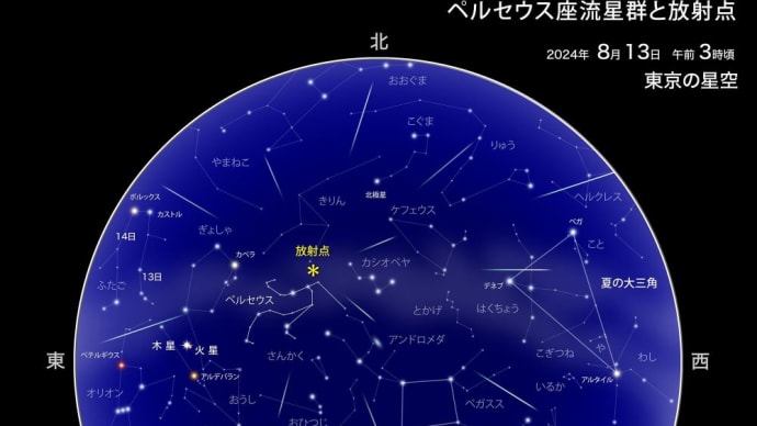 ペルセウス座流星群を観に行ってきました♪