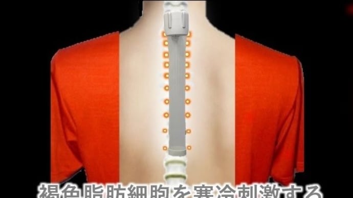 白菜は霜を浴びると甘くなる。ヒトも寒冷刺激で痩せる方法がある。