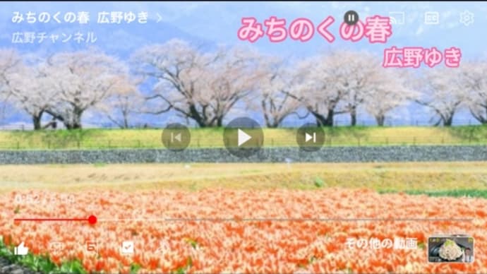 第3弾のB面シリーズ‼️