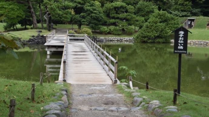 浜離宮恩賜公園 潮入の池にかかる海手お伝い橋 5