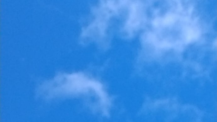 晴れの日曜日