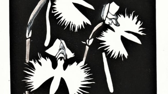 ◆ サギ草 剪画(切り絵) 2Lサイズ 旅に出る1時間ほどで下絵とカットを済ませました。 白い花が飛ぶサギに似てるからサギ草と名付け慣れました。