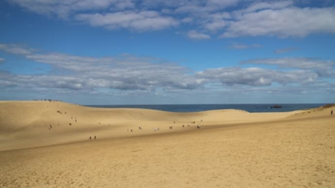 風紋美しい鳥取砂丘