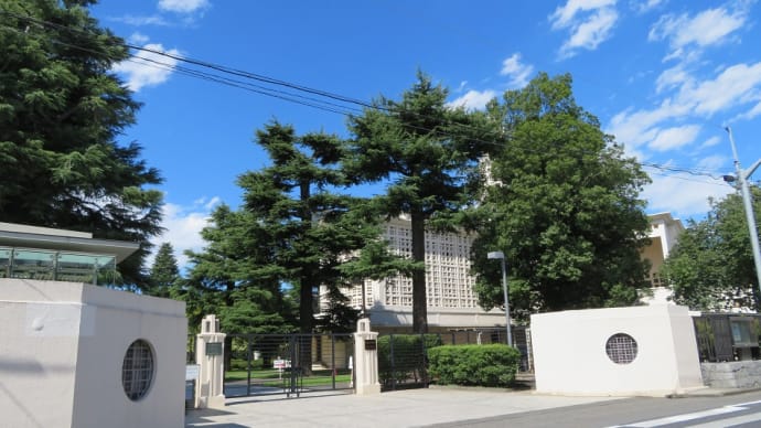 開店して4年経過!お客さんが絶えません!西荻窪の隠れた名(迷=銘)店!