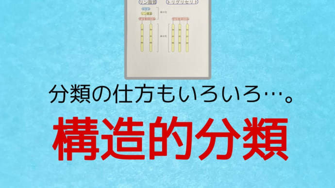 脂質の分け方