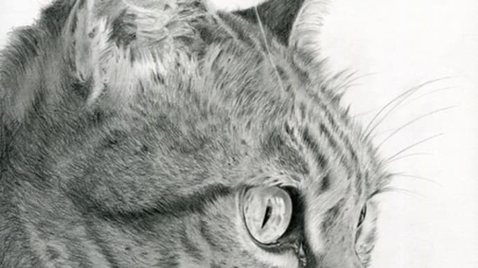 Gooブログ Goo Blog ハッシュタグ 鉛筆イラスト