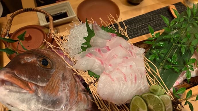 何かに似てると思ったのよ。