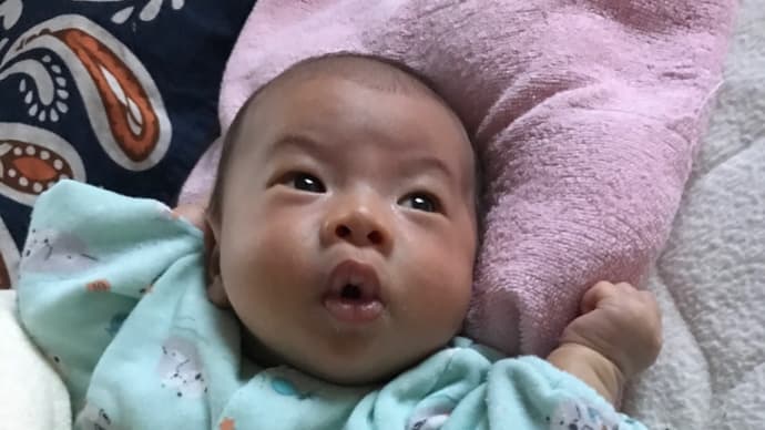 布団に置いて泣くなら…